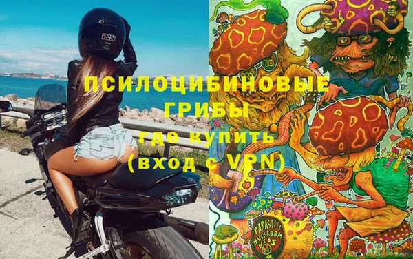 Альфа ПВП Абаза