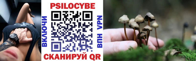 Псилоцибиновые грибы Cubensis  hydra ТОР  shop состав  закладки  Кириллов 